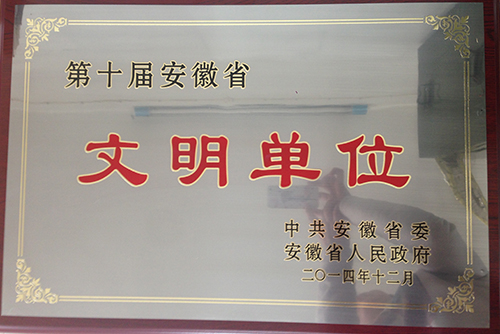 第十届安徽省文明单位
