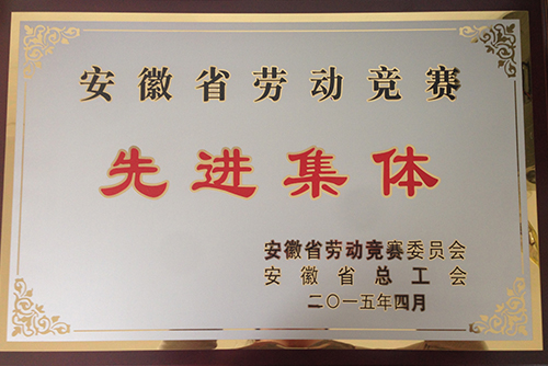 安徽省劳动竞赛先进集体